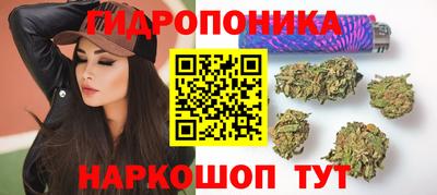 a pvp Кимры