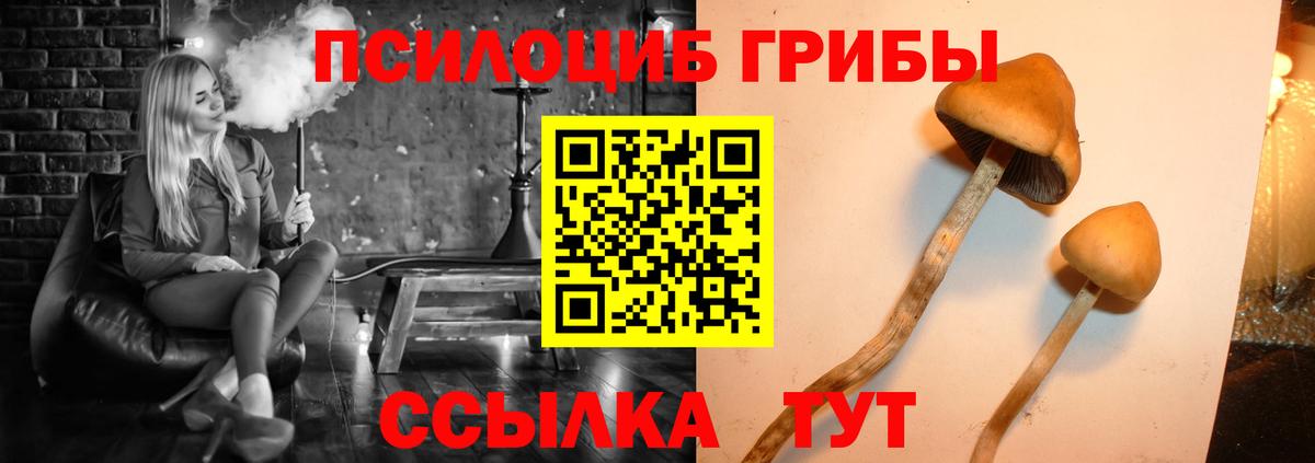 Корсаков  Галлюциногенные грибы мухоморы  Вход с VPN  Галлюциногенные грибы GOLDEN TEACHER 